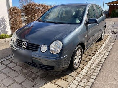 Gebraucht VW Polo Cricket 75 PS (55 kW) 2004 Grau Kleinwagen