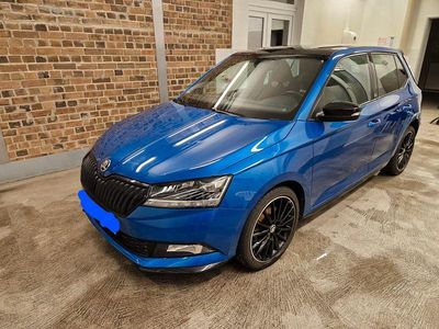 Gebraucht Skoda Fabia Monte Carlo 110 PS (80 kW) 2019 Blau Kleinwagen
