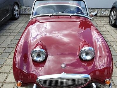 Gebraucht Austin Healey Frogeye 43 PS (31 kW) 1955 Cabrio