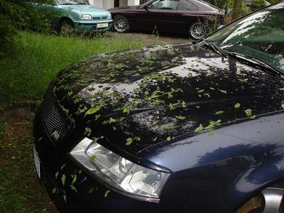 VW Golf V