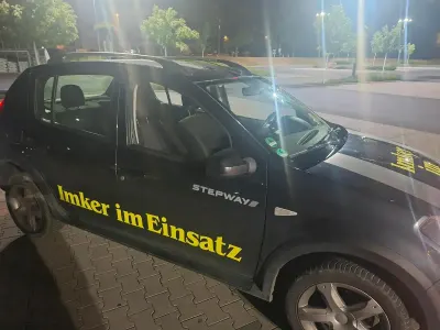 Gebraucht Dacia Sandero Stepway 81 PS (59 kW) 2011 Grau Kombi