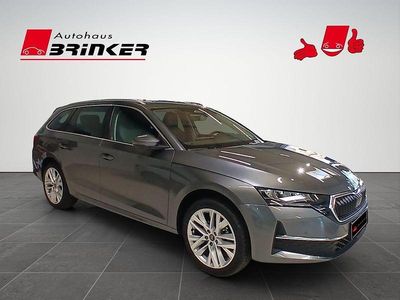 Graphitegrau metallic Neu 2026 Skoda Octavia Kombi | 32.780 € (Fairer Preis)
