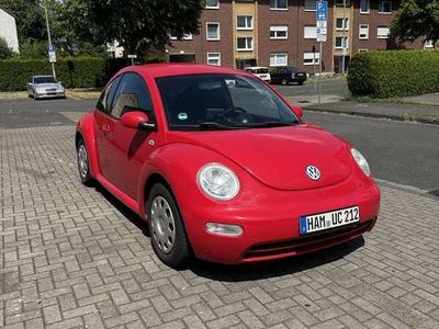 VW Beetle
