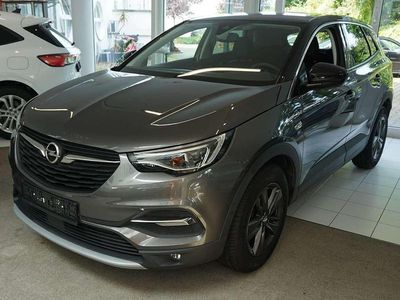 Gebraucht Opel Grandland X 131 PS (96 kW) 2020 Mondstein grau/e:vulkan grau SUV