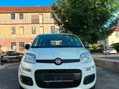 Gebraucht Fiat Panda Easy 69 PS (50 kW) 2020 Weiß Kleinwagen
