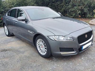 Gebraucht Jaguar XF Portfolio 163 PS (119 kW) 2017 Grau Limousine