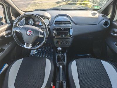Weiß Gebraucht 2013 Fiat Punto Kleinwagen | 2.390 € (Fairer Preis)