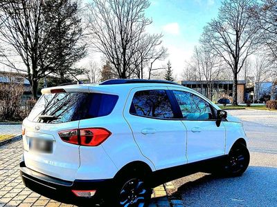 Gebraucht Ford Ecosport 101 PS (74 kW) 2019 Weiß SUV