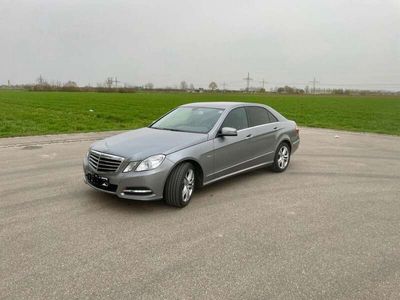 gebraucht Mercedes E220 E220 CDI BlueEfficiency Avantgarde