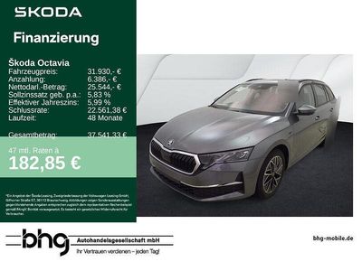 Grau Gebraucht 2025 Skoda Octavia Selection Kombi | 31.930 € (Fairer Preis)