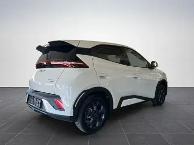 Gebraucht BYD Dolphin Surf