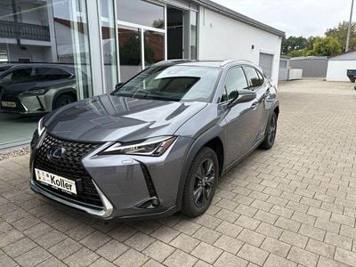 Lexus UX 250h