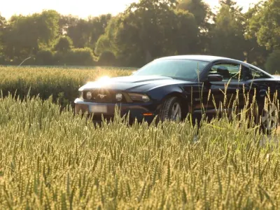 Gebraucht Ford Mustang GT