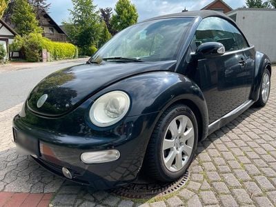 VW Beetle