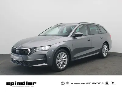 Gebraucht Skoda Octavia Selection 150 PS (110 kW) 2025 Graphitegrau metallic Kombi