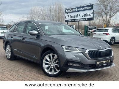 Gebraucht Skoda Octavia Scout 4x4 200 PS (147 kW) 2022 Graphite grey Kombi