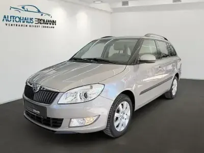 Brugt Skoda Fabia Elegance 125 HK (91 kW) 2014 Beige Stationcar