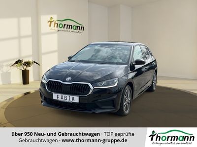 gebraucht Skoda Fabia 1.0 TSI Tour W-Paket