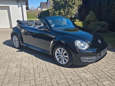 VW Beetle