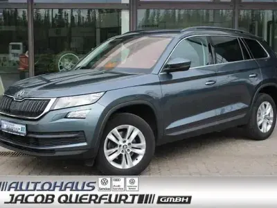 Gebraucht Skoda Kodiaq Ambition 150 PS (110 kW) 2020 Grau SUV