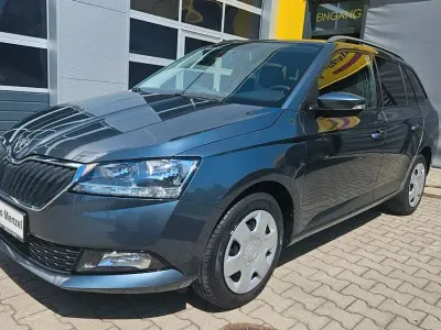 Gebraucht Skoda Fabia Active 75 PS (55 kW) 2019 Grau Kleinwagen
