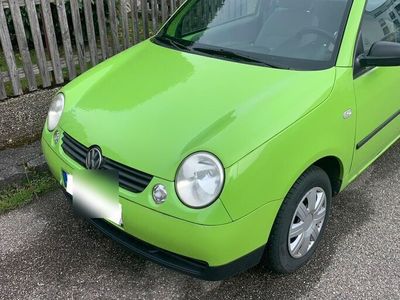 gebraucht VW Lupo 1.4 MPI mit TÜV Nichtraucher Fahrzeug