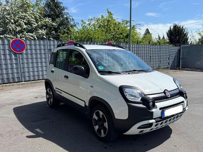 Usata Fiat Panda Cross Cross 69 CV (50 kW) 2017 Bianco Utilitaria