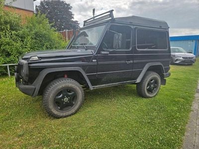 Mercedes G290