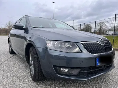 Gebraucht Skoda Octavia Joy 150 PS (110 kW) 2017 Grau Kombi