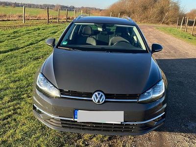 Grau Gebraucht 2019 VW Golf VII Highline Kombi | 15.500 € (Guter Preis)