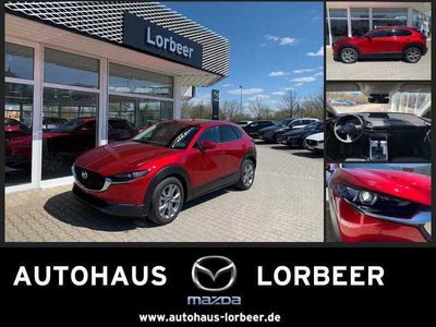 gebraucht Mazda CX-30 M-HYBRID 150PS 6AG SELECTION A18 DES-P NAVI