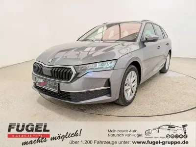 Gebraucht Skoda Octavia Selection 150 PS (110 kW) 2024 Graphitegrau metallic Kombi