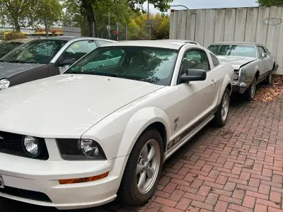 Gebraucht Ford Mustang GT