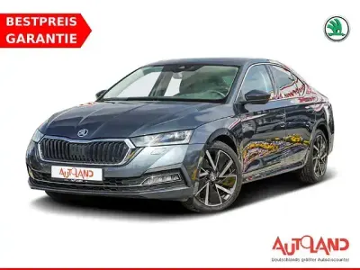 Gebraucht Skoda Octavia First Edition 150 PS (110 kW) 2020 Grau Limousine