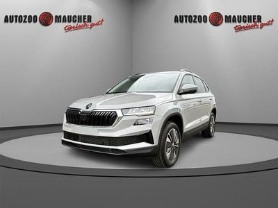 Graphitegrau metallic Neu 2025 Skoda Karoq Selection SUV | 32.990 € (Superpreis)