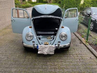 gebraucht VW Käfer 