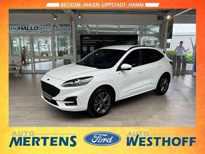 Second-hand Ford Kuga ST-Line X 224 CP (164 kW) 2023 Alb SUV