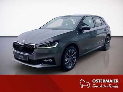 Graphitegrau Neu 2025 Skoda Fabia Tour Limousine | 26.570 € (Teuer)