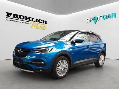 Gebraucht Opel Grandland X 131 PS (96 kW) 2020 Blau SUV