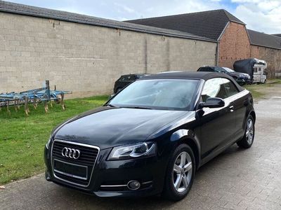 gebraucht Audi A3 Cabriolet Ambition-Leder-Xenon-Navi