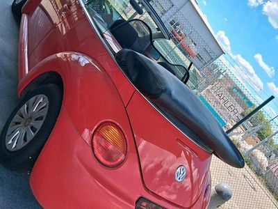 VW Beetle