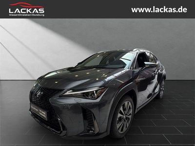 Lexus UX 300h