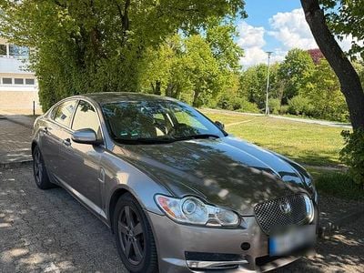 Usata Jaguar XF 207 CV (152 kW) 2008 Marrone Berlina