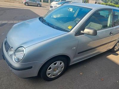 VW Polo