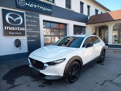 Gebraucht Mazda CX-30 Homura-Line 122 PS (89 kW) 2023 Weiß SUV