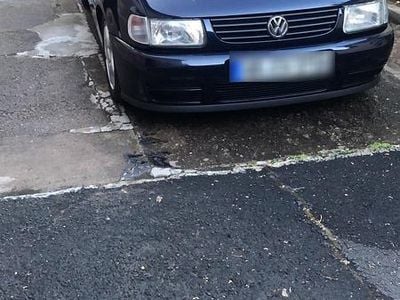 VW Polo