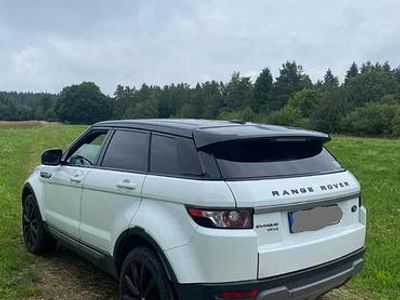 Gebraucht Land Rover Range Rover evoque Pure 150 PS (110 kW) 2014 Weiß SUV
