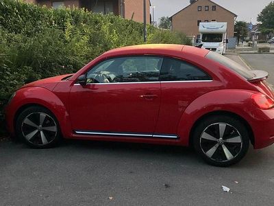 VW Beetle