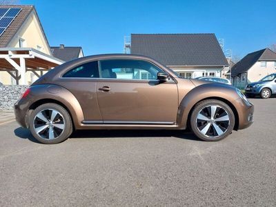 VW Beetle
