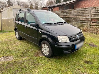 gebraucht Fiat Panda 